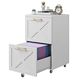 Farmhouse File Cabinet with 2...