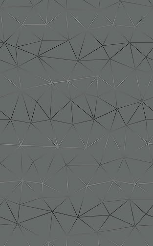 d-c-fix vinilo adhesivo muebles Tico plateado autoadhesivo impermeable decorativo para cocina, armario, puerta, mesa papel pintado forrar rollo láminas 45 cm x 2 m