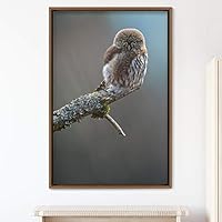 Framed Canvas Wall Art Owl Birds Dramatic Farmhouse/Country Home Office Multicolor Owl Photography - 16x24 inches