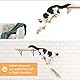 Katzen Kletterwand, Katzentreppe Wand 3er-Set mit 2 Stufen & Spielpodest, Wandmontiertes Massivholz Katzenwandmöbel Set für Klettern Spielen Schlafen