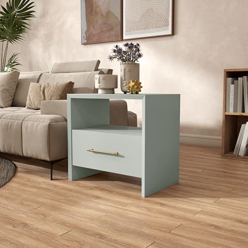 HOMES: Inside + Out Elle Modern 23-inch Rectangular End Table