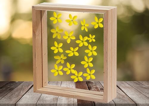 Image of Desi Rang Wooden Square Frame For Wall Decor Table Top Hanging Any Green Or Dry Plant Leaf Picture Photo DIY Gift Home Decoration (Natural,Sqr,7X7 Inch,With Yellow Flower)