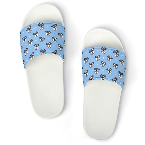 [ZKCASA] Xbp ViEU[   [V[Y jp  T_ y OJ ~ 􂦂 p qp Cp v[g 46 (287mm)