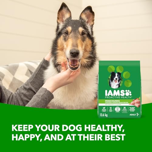IAMS Proactive Health Minichunks Dry Dog Food – Crunchy Kibble for Adult Dogs – Chicken & Whole Grain Recipe – 13.61KG (30LB) Bag image 1