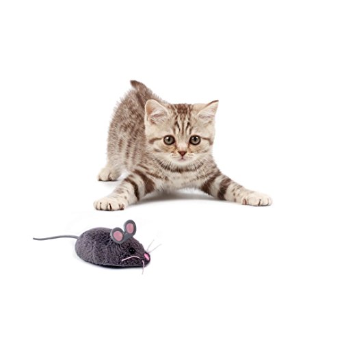 HEXBUG 480-3031 Jouet pour Le Chat Cat Toy