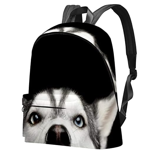 Ryggsäck, siberian husky hund med blå ögon, för studenter, resor, dagspaket