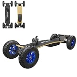 Electric Skateboards for Adults, 3300W Electric Longboard 25MPH Max Speed Motorized Mountain Board 9 Inch Offroad Tire Skate Board, Dual Motor Electric Skateboard with Remote