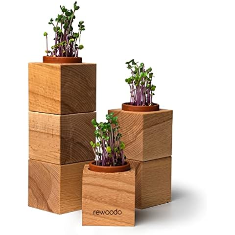rewoodo Plant Pots - Indoor Garden Propagation System Mini Greenhouse Table Decoration Desk (Set of 6, Plant Pots) Cover