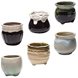 BCOATH Keramik Sukkulententöpfe 6 Stück mit Drainagelöchern Kleine Blumentöpfe für Innenbereich Umweltfreundlich und Langlebig für Schreibtisch und Garten