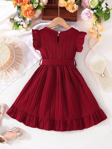 Image of Baby Girls Designer Dress | Pleated A-Line Dress with Ruffle Sleeves & Waist Tie | Birthday
