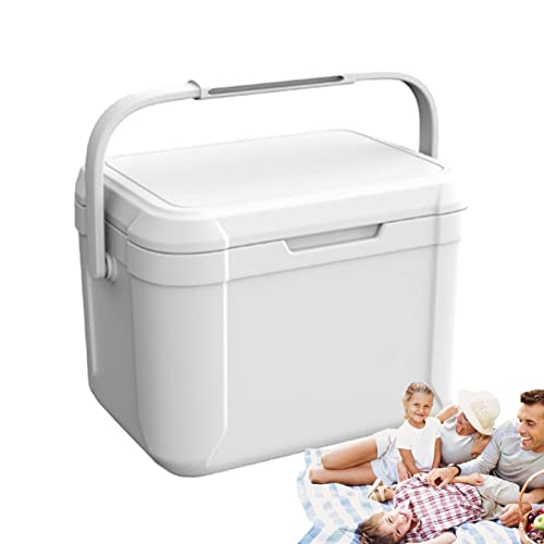 Mini scatola frigo, scatola frigo per ghiaccio da 5 litri,