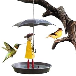 Bebedero para pájaros colgante, comedero para pája...: Material seleccionado: nuestro comedero para pájaros con paraguas puede proporcionar un jardín lleno de pájaros durante todo el año. Su sólida construcción de hierro y sus superficies revestidas también garantizan que resista todas las condiciones cl...