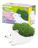 クローバー 栽培キット グリーンハリネズミ TOY-8-02 室内 プチギフト