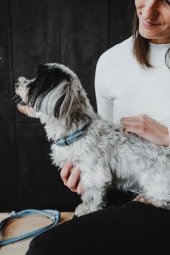 Hunter Hundehalsband SOHO MINI, Farbe: hellblau, Rindsleder, weich & geschmeidig, fellschonend, leicht, für kleine Hunde & Welpen, Made in Germany, Größe: 27