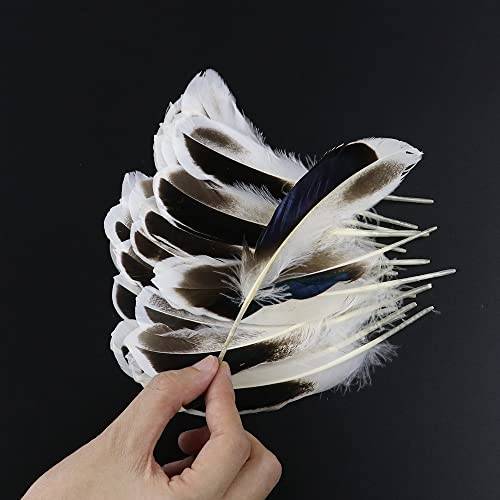 100 Pcs Beautiful Blue Mallard Duck Feathers For Crafts Diy Pendant Earrings Dream Catcher Decoration #TOP3