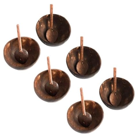 Thenga Mini Coconut Shell Bowl Set of 6 Cover
