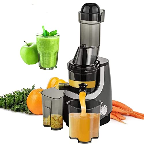UMJIGF Slow Masticating Juicer Extractor,Cold Press Slow Juicer,Professional Juicer Extractor for High Nutrient Fresh Vegetable and Fruit