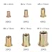 Fiyuer 200 Piezas Remaches Tuerca Threaded Insert Inox Roscado Acero Inoxidable Nutsert...
