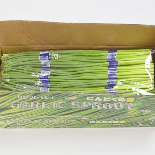 ɂɂ̉ 70g×50i1P[Xj Y