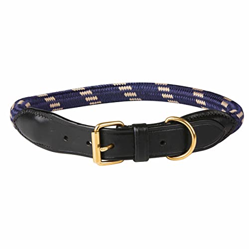 Weatherbeeta - Laisse - Chien (M) (Bleu/marron)