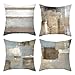 Fodere per cuscini decorativi Fodere per cuscini in velluto morbido di arte astratta moderna Fodere per cuscini per divano Fodere per cuscini per camera da letto Soggiorno 18X18 pollici Set di 4 (B)