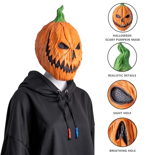 Calabaza, Toy Imagen adicional