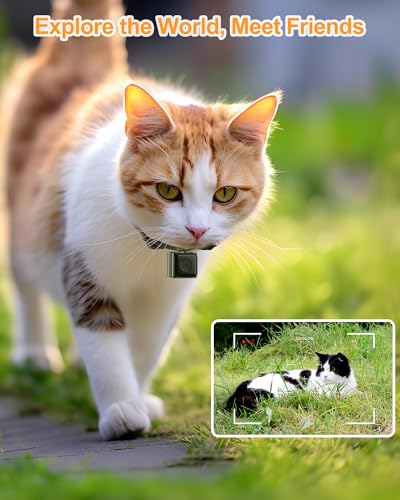 Image of Cat Camera Collar- XS Size Pet Collar Camera-Cat POV Cam,No WiFi No APP Needed, 1080P Video Recording