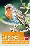 singvogel 2019  Singvögel: Heimische Arten erkennen