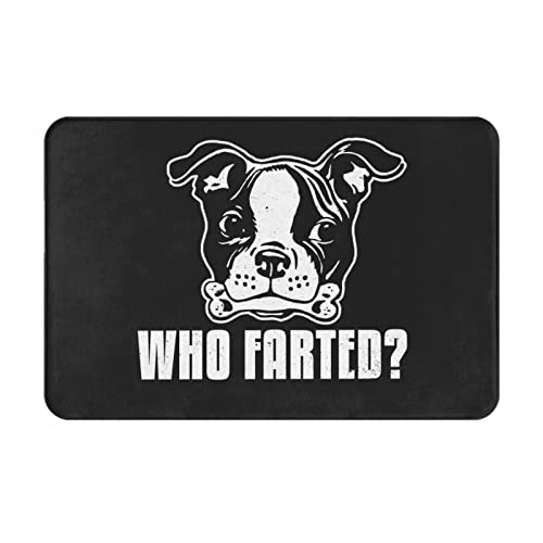 ���փ}�b�g�t�����`�u���h�b�O(1)�A�j�������}�b�g�z�������R�ۖh�L�o�X�}�b�g�z������~�ߖh�J�r�������L���o�X���[���L�b�`���l�G���p�J�[�y�b�g40×60cmB63