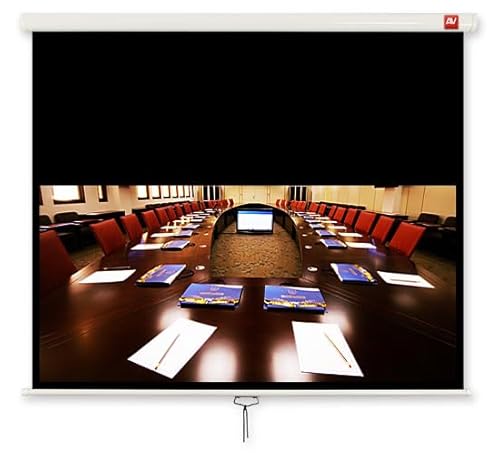 Business 280 schermo per Proiezione 16:10