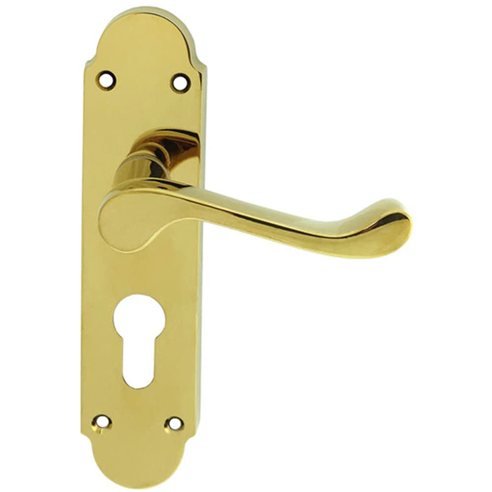 Loops Unisex Metallics Pair Victorian Upturned Lever On Euro Lock Backplate 170 X 42 Polished Brass In