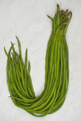Fresh Green Long Beans (Yard-Long Beans), Bundle seed/beej pack o...