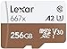 Produktbild Lexar microSDXC Card 256GB High-Performance 667x UHS-I U3