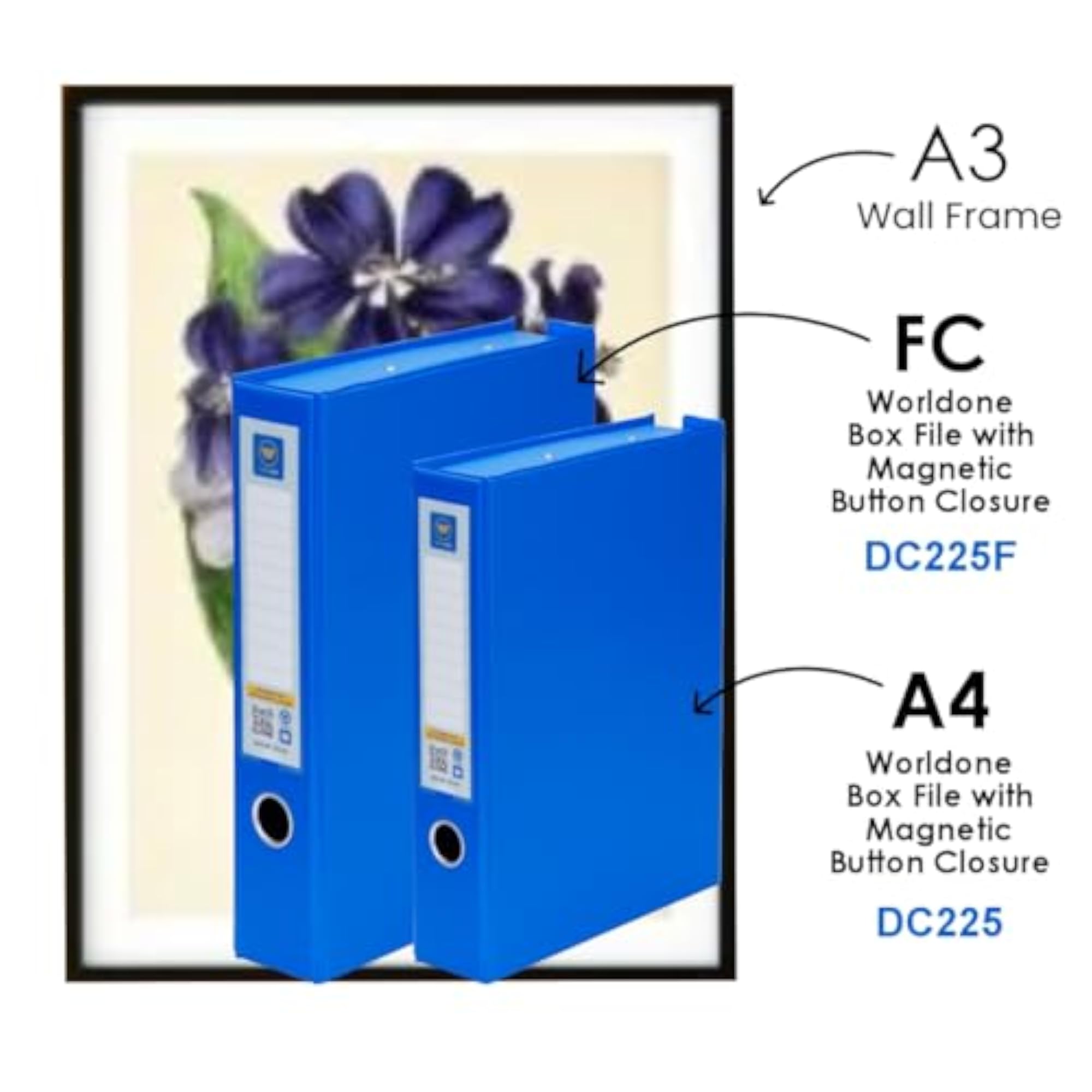 Box File with Magnetic Button Closure for Easy Classification