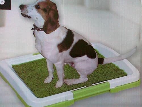 SHOPECOM (1.pc Dog) cat Grass Pad Artificial Portable Breathable Plastic Puppy Potty Mat with Tray Lawn Trainer Pee Patch Home. 3
