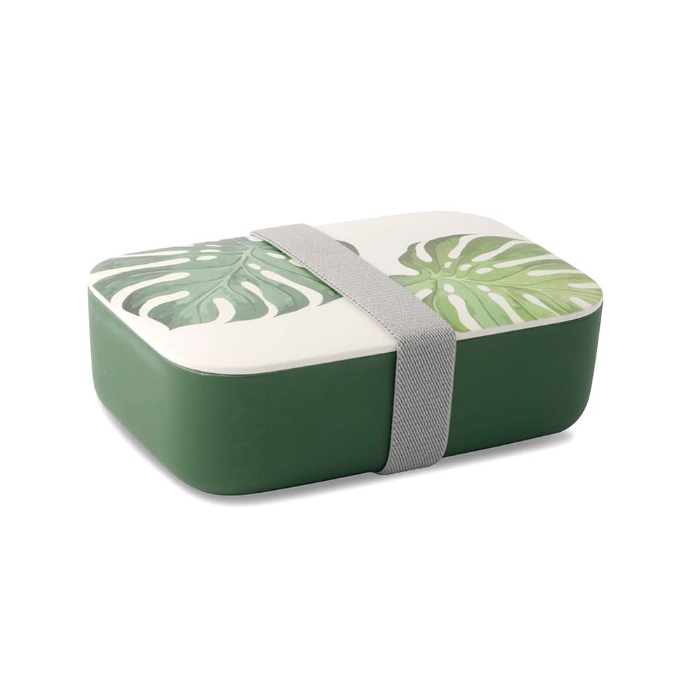 BIOZOYG 24x PLA fiambrera caja decorativa, contenedor biodegradable para llevar, jardín de infantes 18,8x12,5x6,3cm