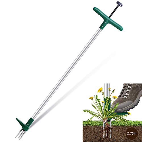 Willlly Weed Cutter With 3 Stainless Steel Claws Dandelion Stick Chic With High Strength Foot Pedal Sale Home Daily Use Product (Color : Grün, Size : Size)