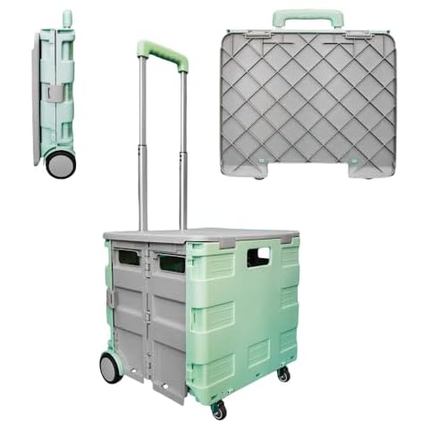 Berry 40 KG Foldable Shopping Trolley in Mint Green Cover