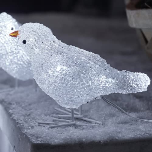 Outdoor Christmas 5pc Premier Decorations Mains Operated Acrylic Birds with Cool White LED Lights (5, White)