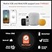 X3 Apple Home Key Door Lock Deadbolt, iOS ONLY, Smart Keyless Entry Door Lock with Fingerprint, Works with HomeKit Over Thread (Border Router), Voice/App/Remote Control, IP65 Weatherproof, Black