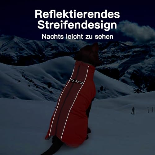 Katzinst Wintermantel Hund Klein, Wasserbeständig Hundeanorak mit Bauchschutz und Rollkragen, Schneemantel Hund, Sehr Schönes Material, Hundebekleidung für Schnauzer, Rot, S