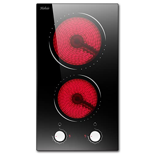 Top 10 2 Burner Electric Cooktop of 2022 Katynel