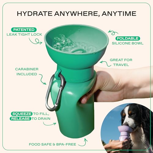 Image of Springland 20oz Portable Dog Water Bottle with Collapsible Bowl, Lilac