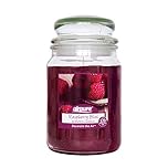 AIRPURE Large Candle Scented, Raspberry Bliss Fragrance, 18oz Jar, 120 Hour Ornamental Candles, Fill The Room with a Warm and Homey Fragrance, for The Bedroom, Bathroom, Family Room or Office