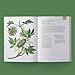 The Little Encyclopedia of Herbal Medicine: 100 Common Remedies for Everyday Ailments