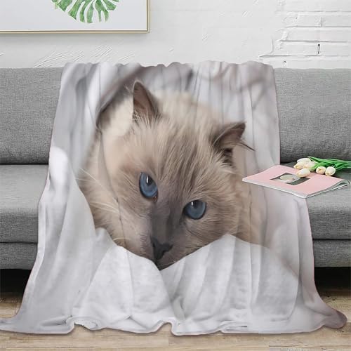 Couverture antistatique et lavable plaid microfibre doux imprimé chat - 2