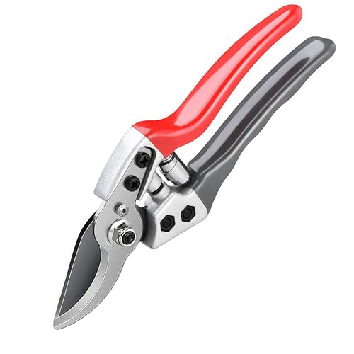 voT~y2025lCt߁z MUKAGE ΂ s؂ꖡ SK5Yf|4mmn ϋv5{Abv Kтɂ|nT~ gՂ~߃nh yʉ₷ SbNt[֗iőJbga20mmj o