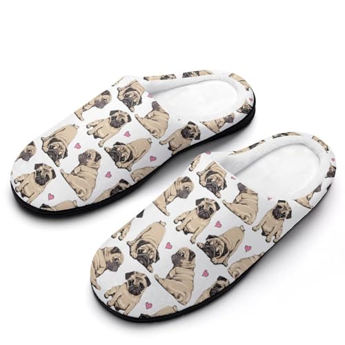 [STEBVI] Xbp  ʔ pO  [V[Y  nEXXbp  Y fB[X  ~ g 􂦂 qp p jp v[g