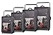 it luggage World's Lightest-St Pauls Cathedral 4-Wheel 4-Piece Set, Pewter