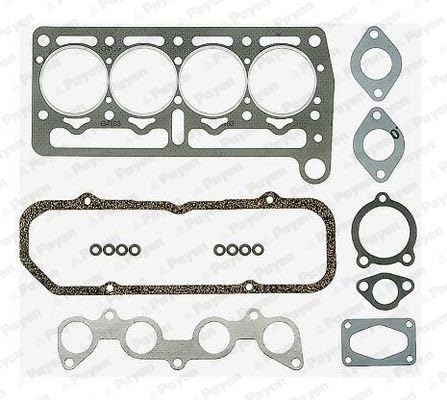 Payen DP022 Kit Guarnizioni Testata